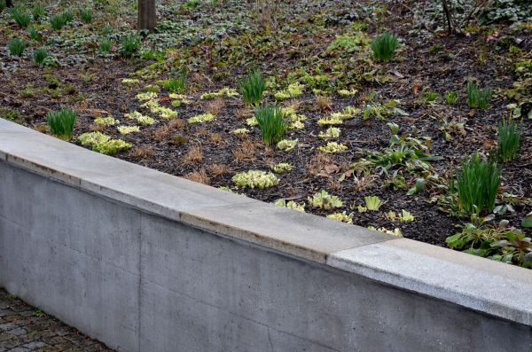 Concrete Wall Construction in Waterloo