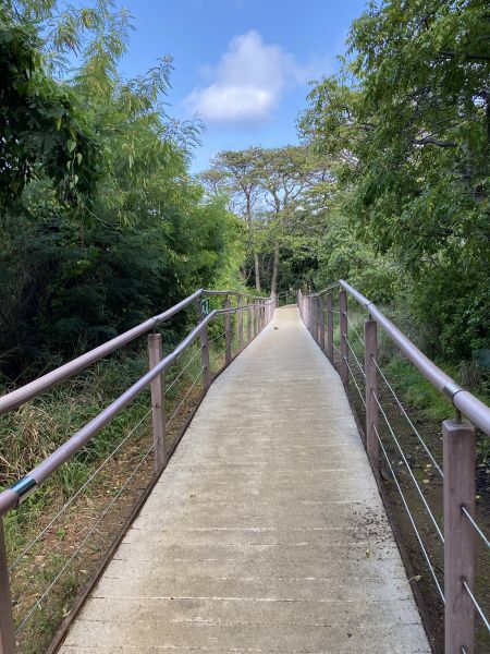 Footpath Construction in Waterloo