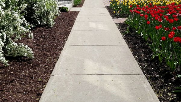 Cement Sidewalk Installation in Waterloo