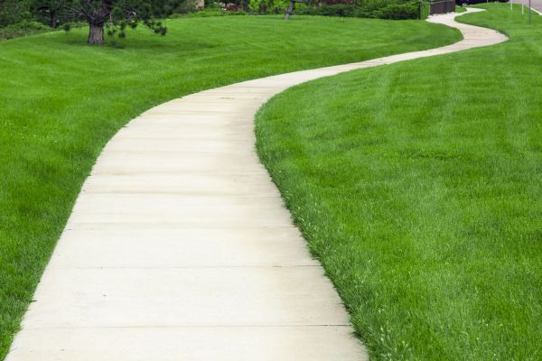 Pathway Replacement in Waterloo