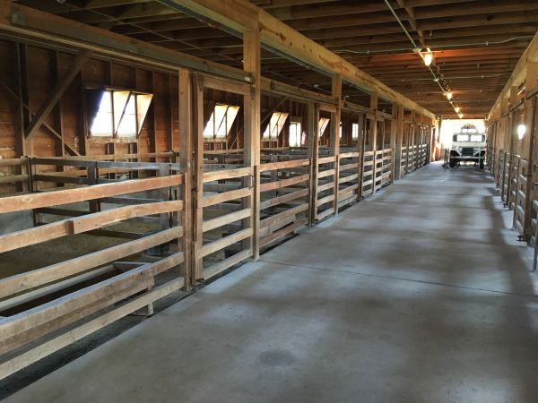 Barn Slab Construction in Waterloo