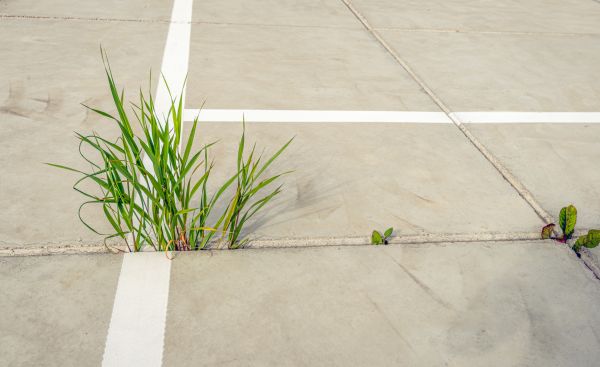 Cost of Concrete Parking Installation in Waterloo