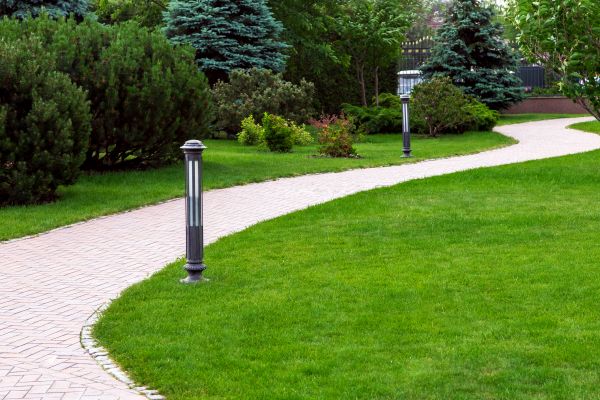 Backyard Sidewalk Installation in Waterloo