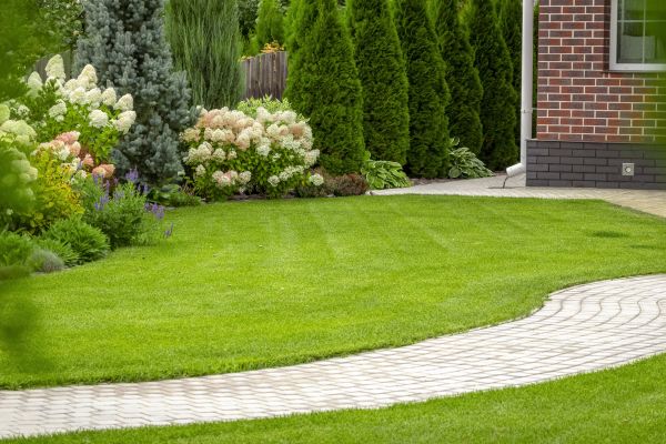 Landscape Walkway Installation in Waterloo