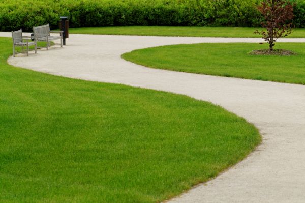 Sidewalk Installation in Waterloo