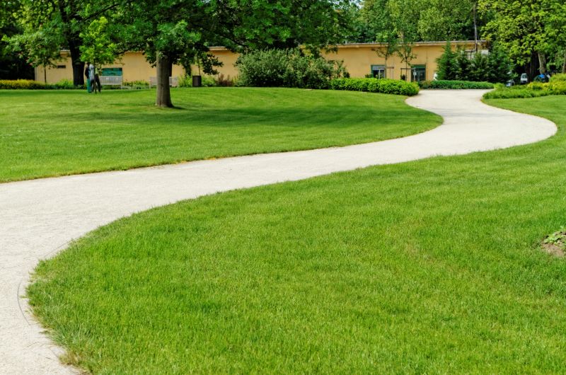 Backyard Sidewalk Installation